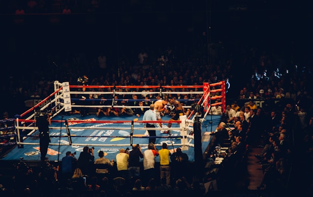 compétitions boxe
